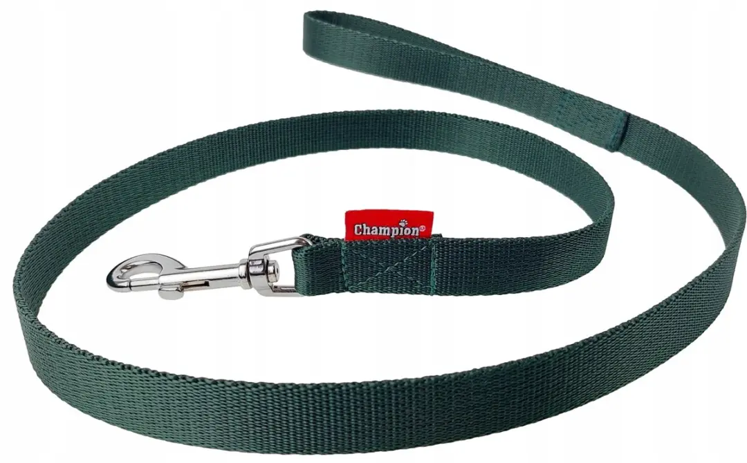 Champion Hondenlijn Groen 120cm