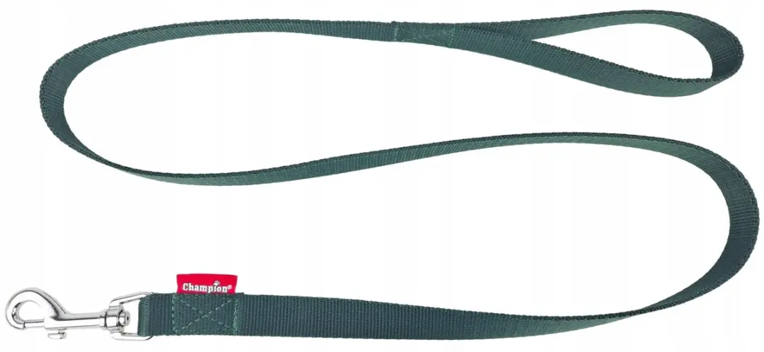Champion Hondenlijn Groen 120cm