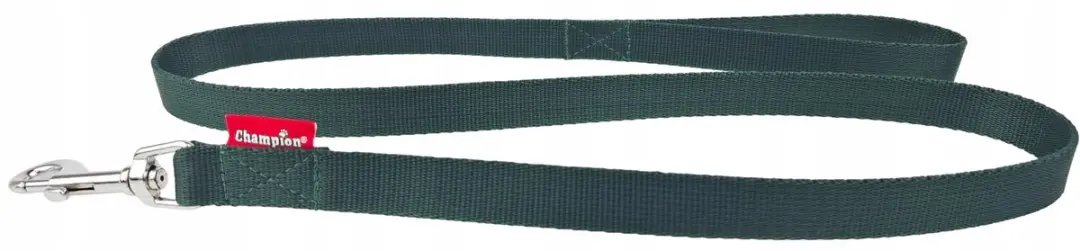 Champion Hondenlijn Groen 120cm