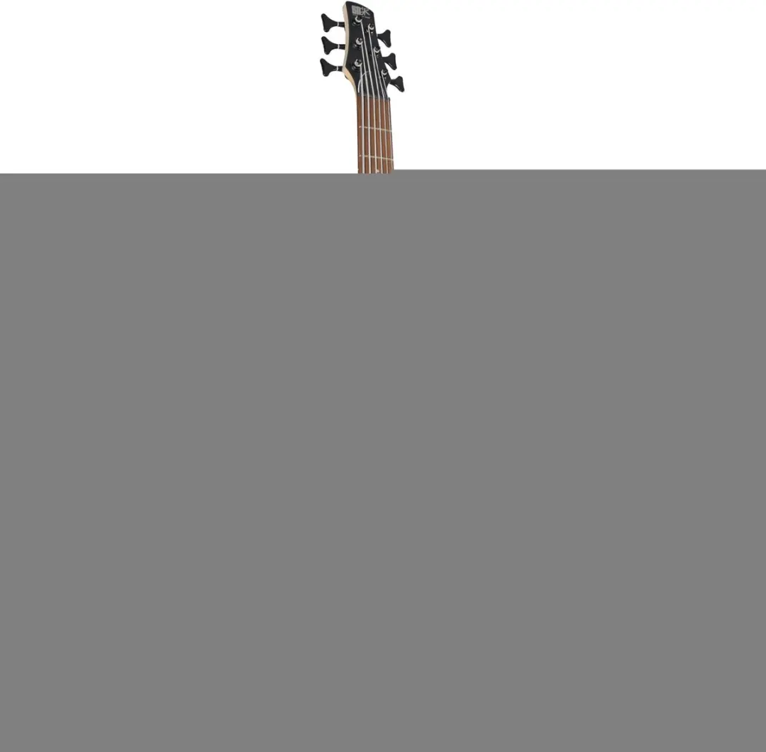 Ibanez Standard SR306EB Weathered Black Elektrische Basgitaar