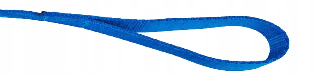 Champion Hondenlijn Blauw PP Band 120cm