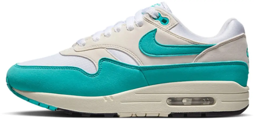 Nike Air Max 1 Dames
