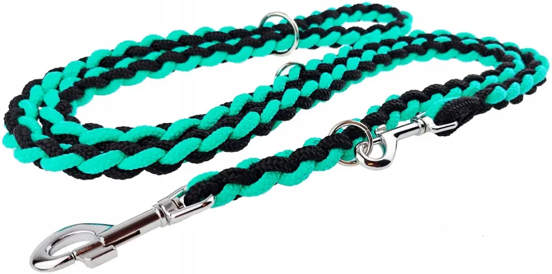 Champion Hondenlijn Gevlochten Leer 2,5m - Zwart/Blauw