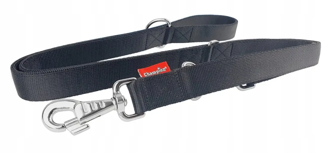 Champion Verstelbare Hondenlijn 3m x 3cm - Zwart