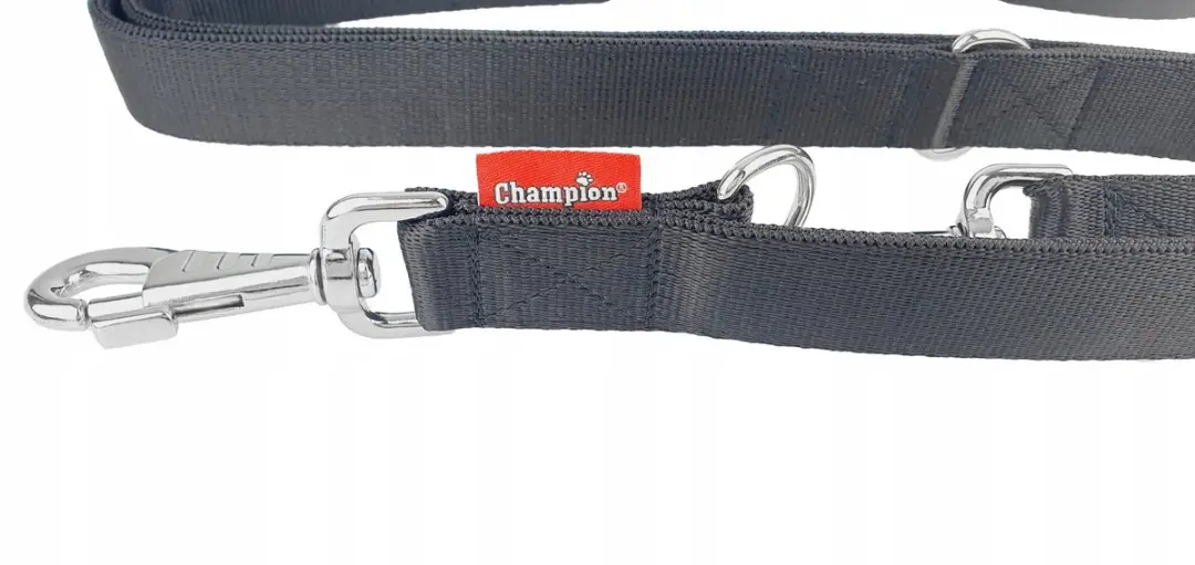 Champion Verstelbare Hondenlijn 3m x 3cm - Zwart