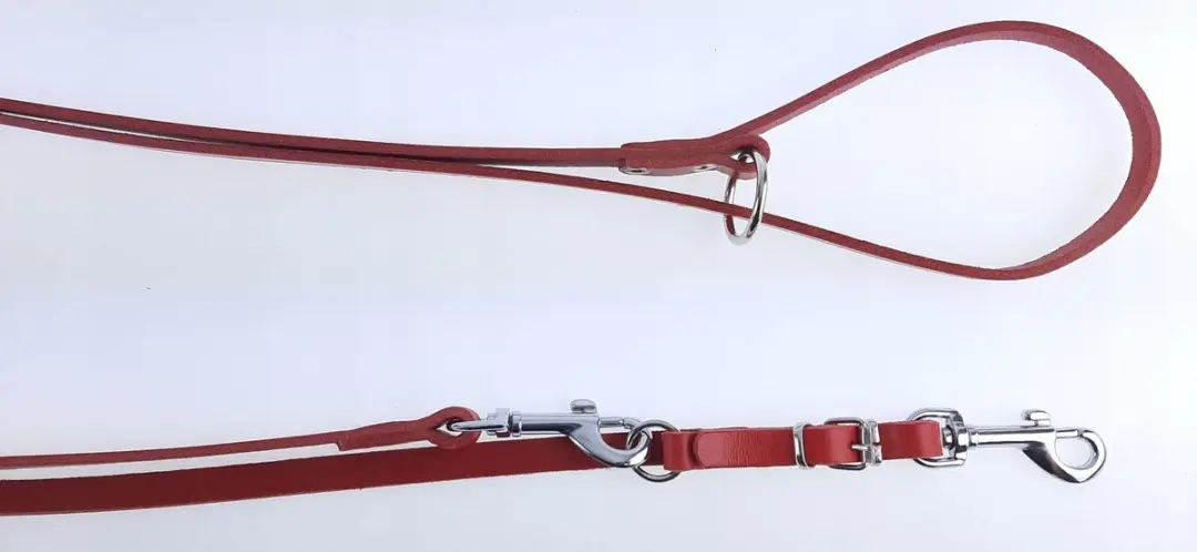 Champion Verstelbaar Leren Hondensnoer 2.4m - Rood