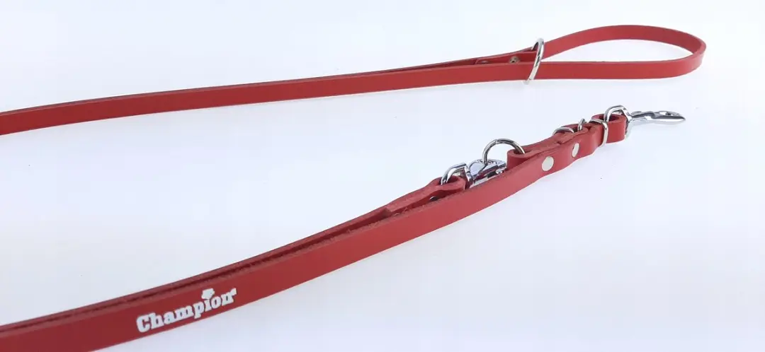 Champion Verstelbaar Leren Hondensnoer 2.4m - Rood