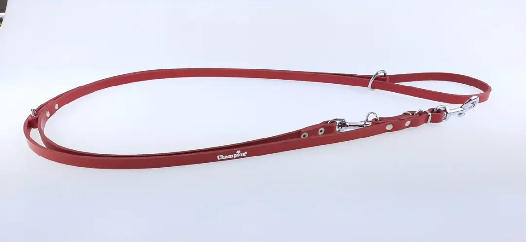 Champion Verstelbaar Leren Hondensnoer 2.4m