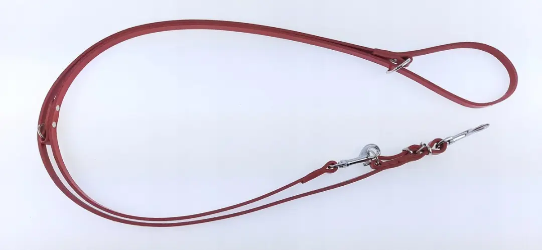 Champion Verstelbaar Leren Hondensnoer 2.4m - Rood