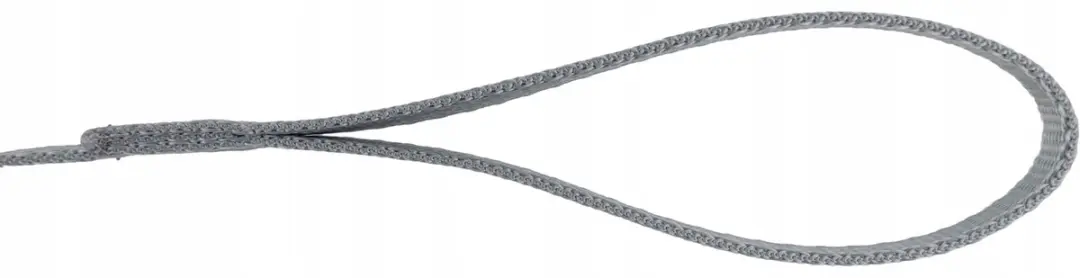 Champion Hondenlijn Klassiek 120cm - Grijs
