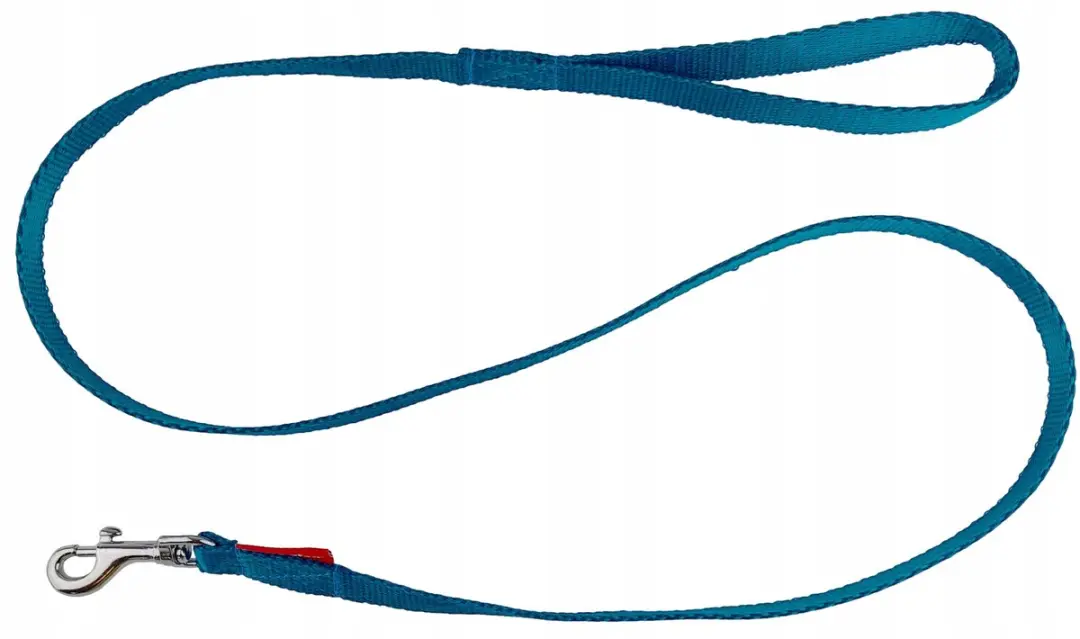 Champion Hondenriem Band 120cm - Turquoise