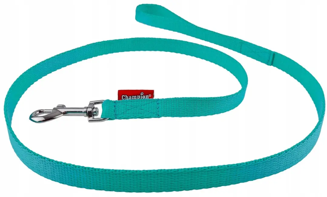 Champion Hondenlijn Klassiek Mint Groen 120cm x 1.6cm