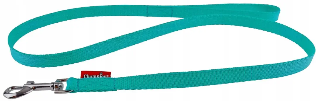 Champion Hondenlijn Klassiek Mint Groen 120cm x 1.6cm