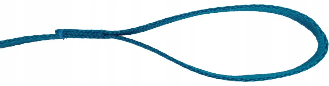 Champion Hondenlijn Klassiek 120cm - Turquoise