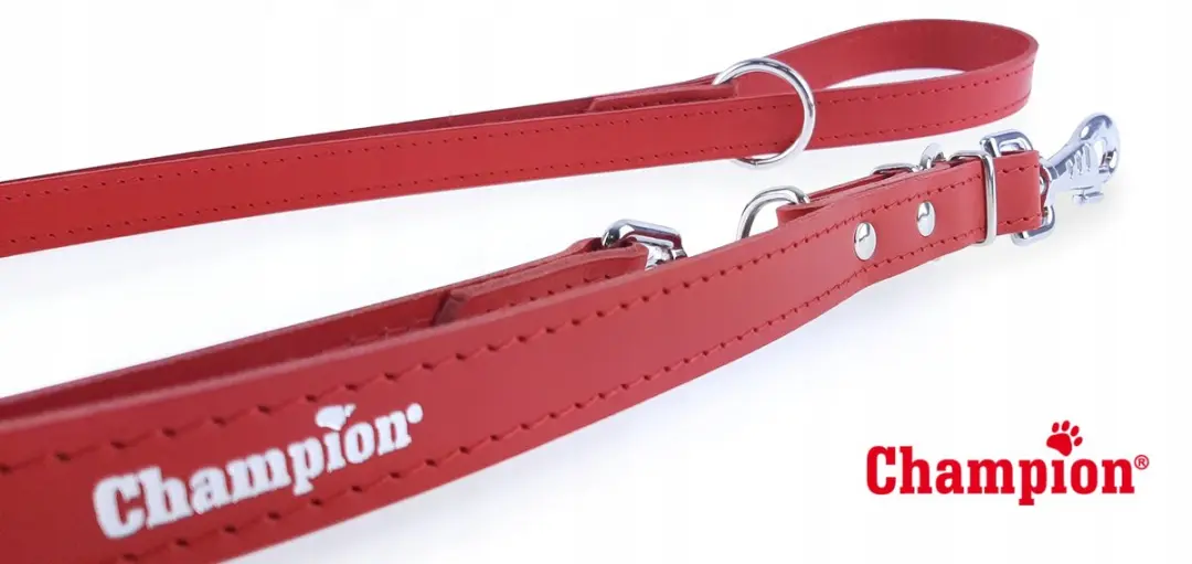 Champion Verstelbare Leren Hondenriem 2.4m x 2.5cm - Rood