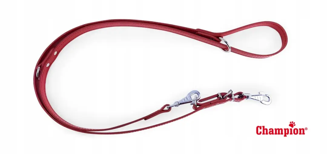 Champion Verstelbare Leren Hondenriem 2.4m x 2.5cm