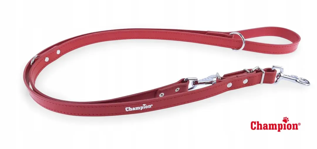 Champion Verstelbare Leren Hondenriem 2.4m x 2.5cm - Rood