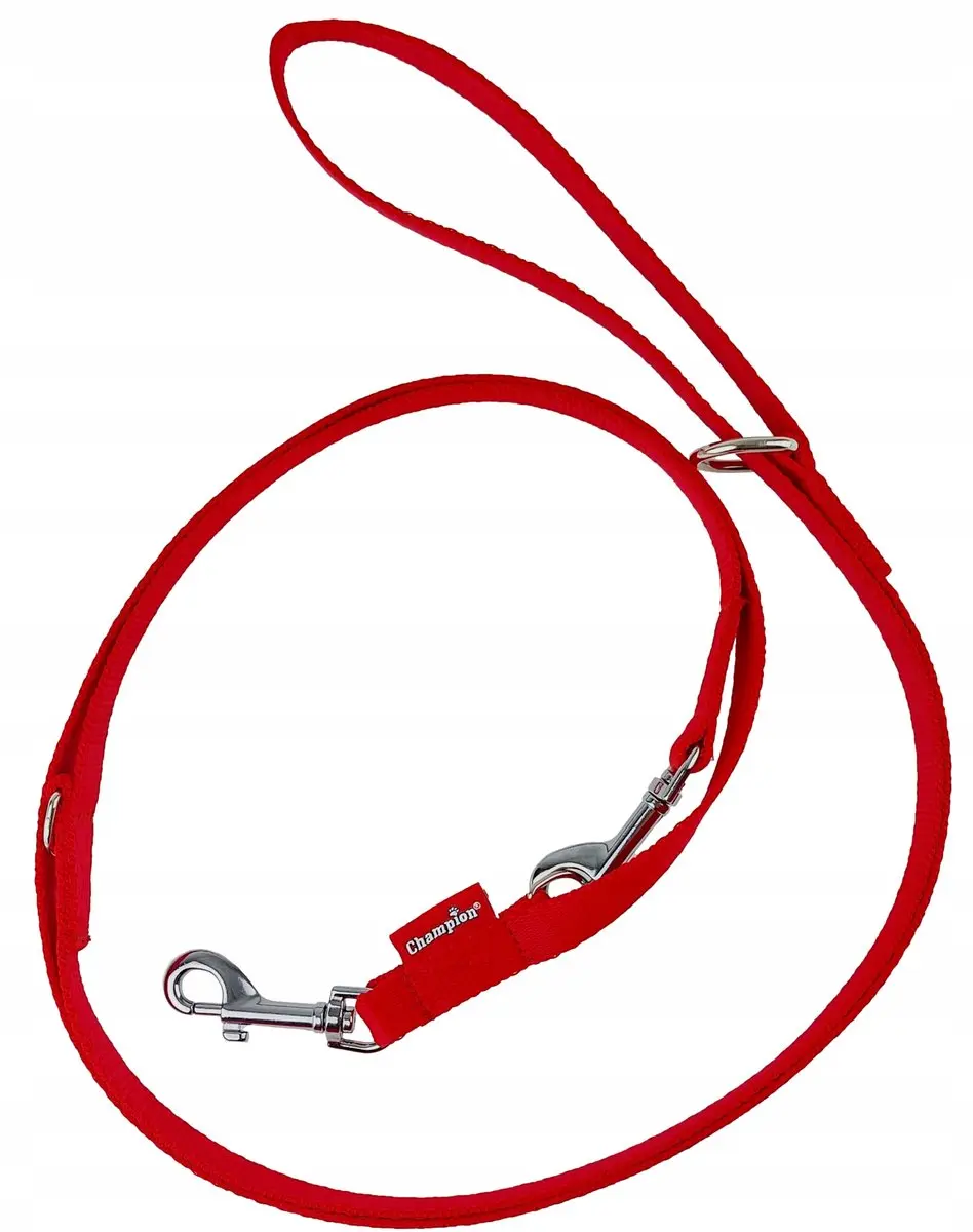 Champion Verstelbare Hondenlijn 225cm - Rood
