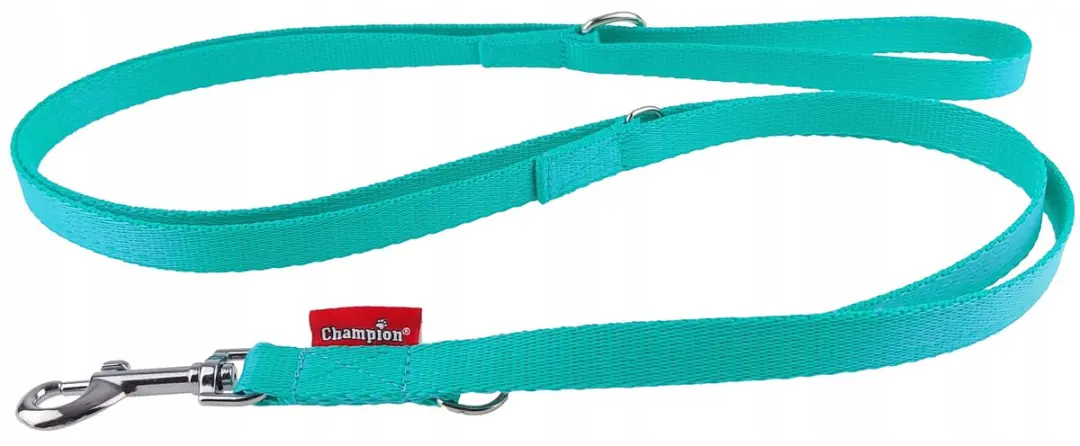 Champion Hondenlijn Verstelbaar 225cm Mint Groen