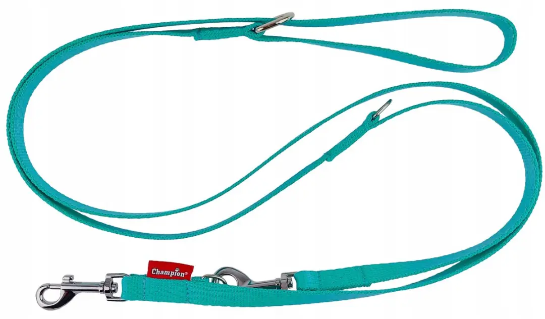 Champion Hondenlijn Verstelbaar 225cm Mint Groen