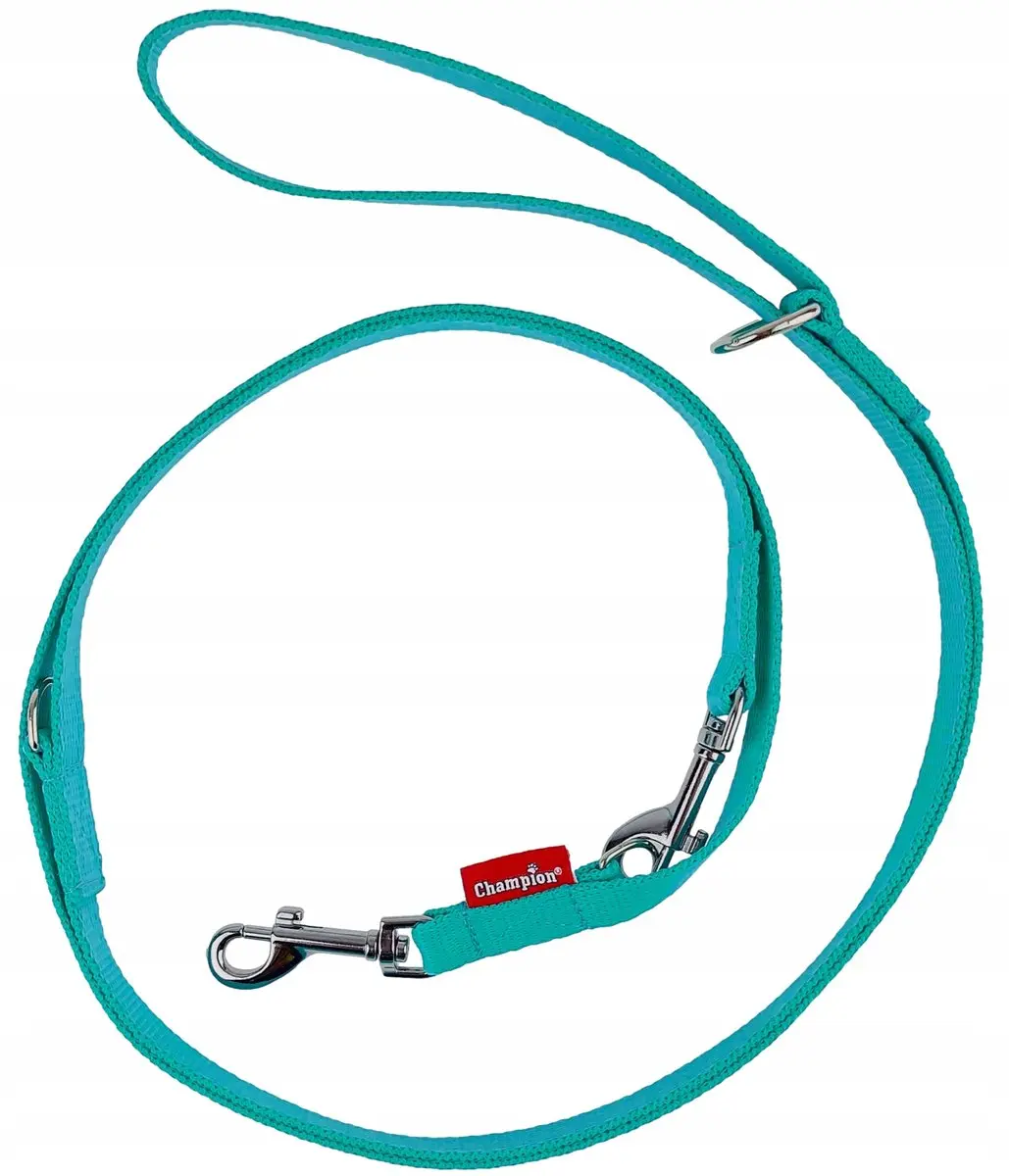 Champion Hondenlijn Verstelbaar 225cm Mint Groen