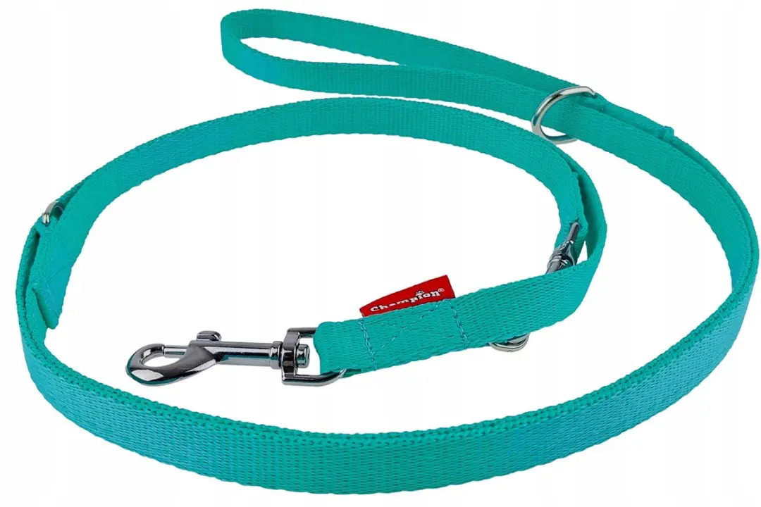 Champion Hondenlijn Verstelbaar 225cm Mint Groen