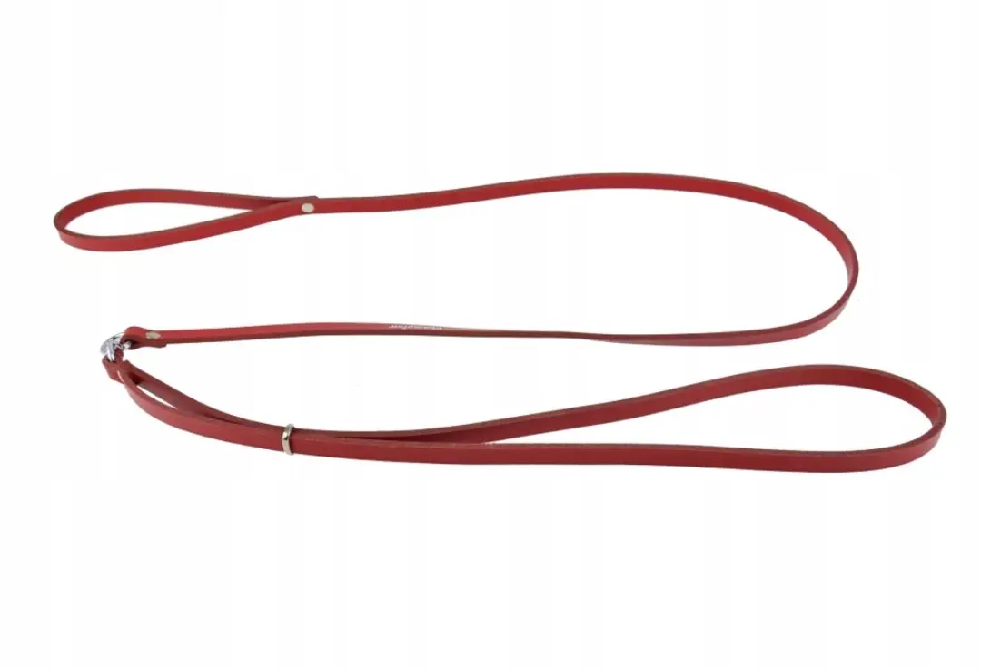 Champion Leren Ring Showlijn 130cm x 1.0cm