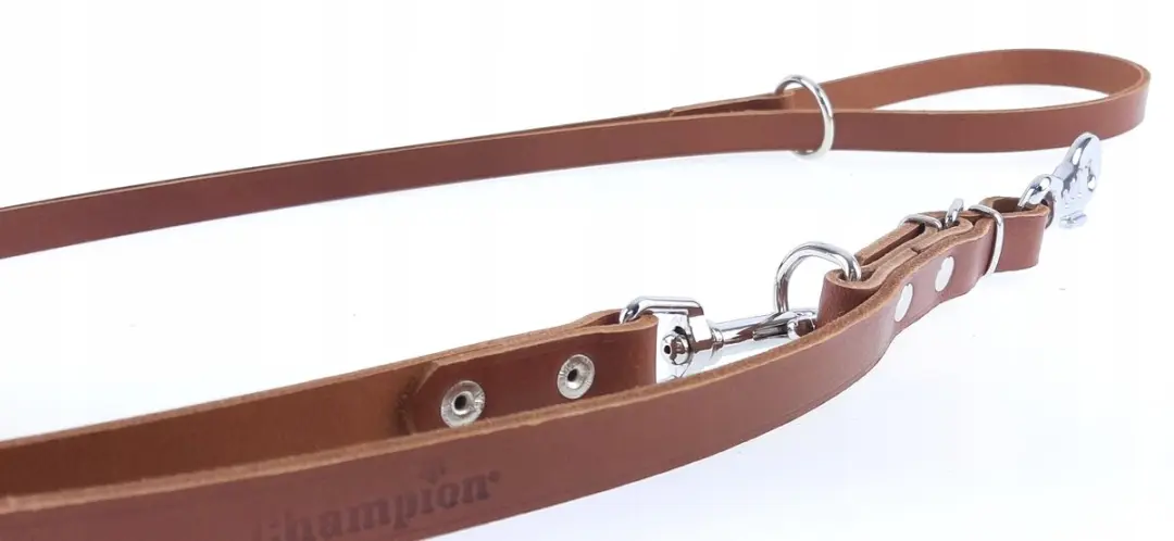 Champion Verstelbare Leren Hondenhalsband 2.4m x 1.8cm - Bruin