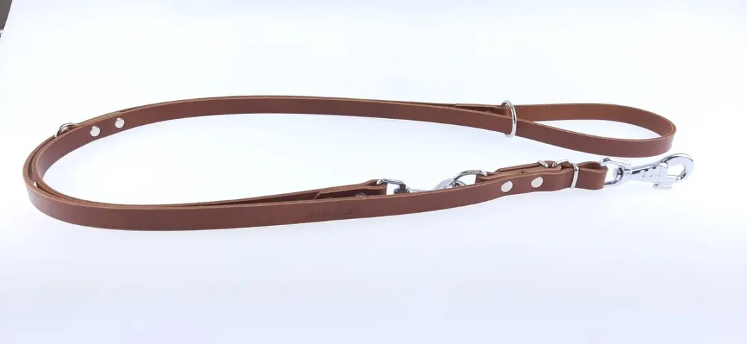Champion Verstelbare Leren Hondenhalsband 2.4m x 1.8cm