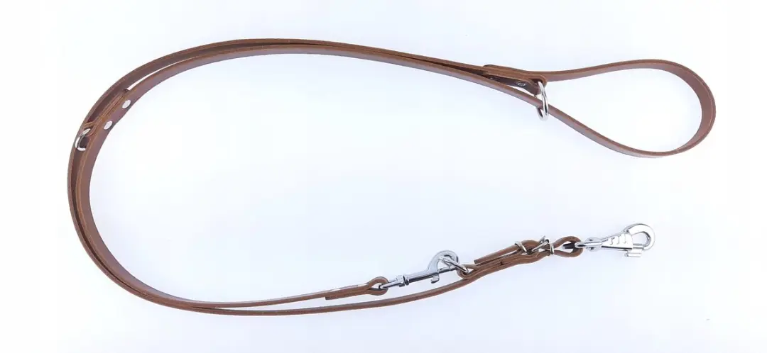 Champion Verstelbare Leren Hondenhalsband 2.4m x 1.8cm - Bruin