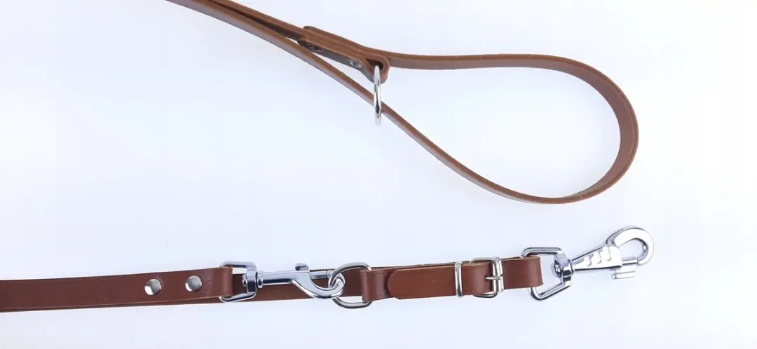 Champion Verstelbare Leren Hondenhalsband 2.4m x 1.8cm - Bruin