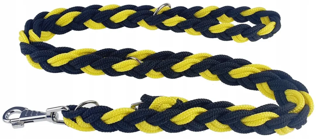 Champion Verstelbare Hondenlijn 2.5m