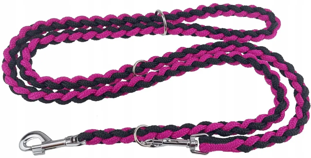 Champion Hondenlijn Gevlochten 2.5m - Zwart Roze