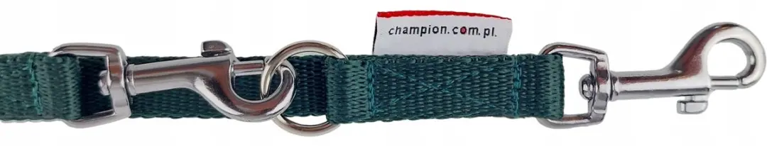 Champion Verstelbare Hondenlijn 225cm - Groen
