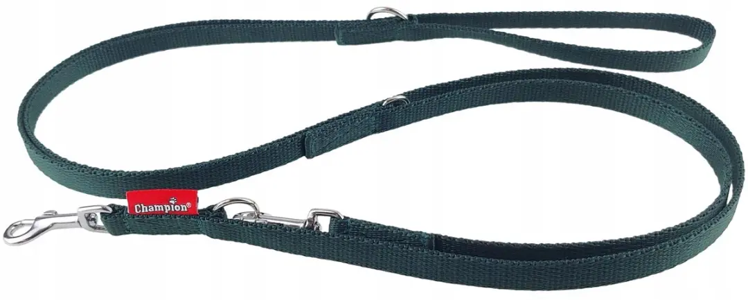 Champion Verstelbare Hondenlijn 225cm - Groen
