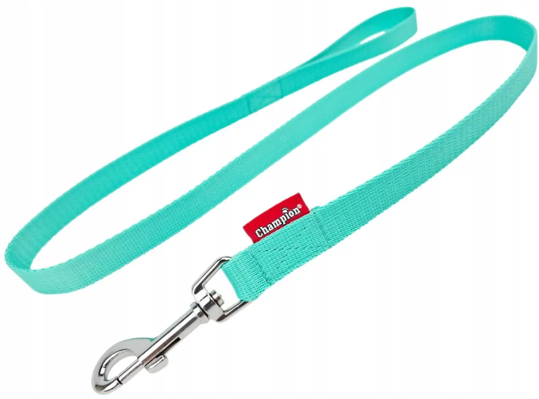 Champion Hondenlijn Klassiek 120cm Mintgroen