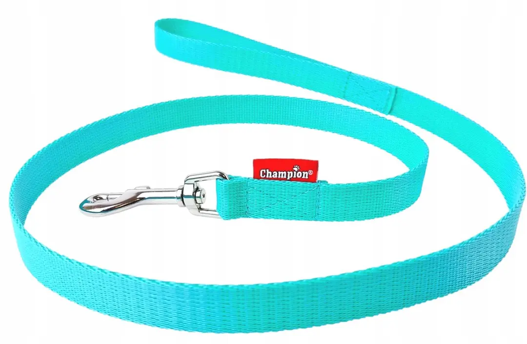 Champion Hondenlijn Klassiek 120cm Mintgroen