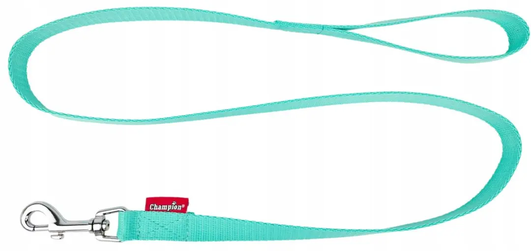 Champion Hondenlijn Klassiek 120cm Mintgroen