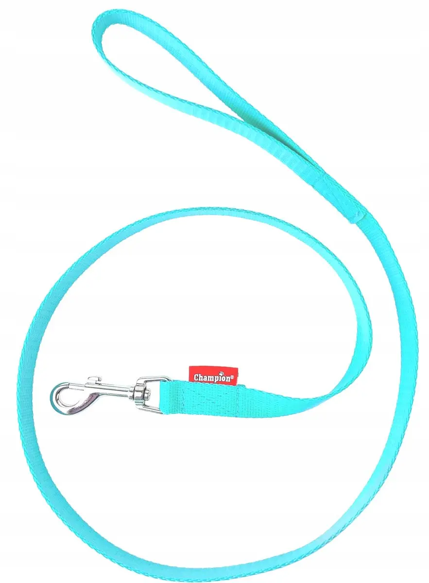 Champion Hondenlijn Klassiek 120cm Mintgroen