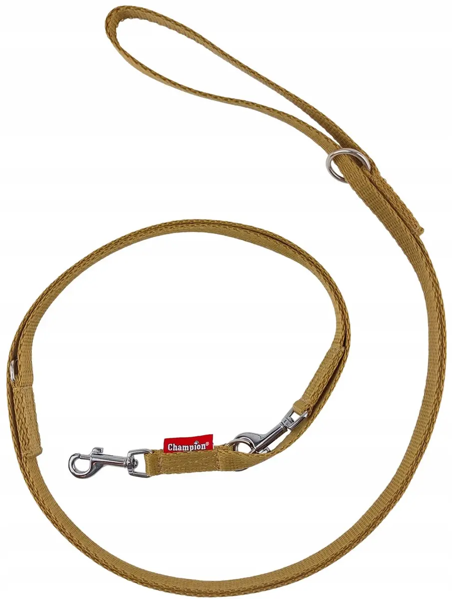 Champion Verstelbaar Hondensnoer 225cm - Goud