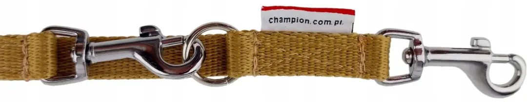 Champion Verstelbaar Hondensnoer 225cm - Goud