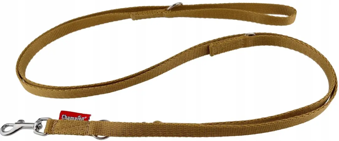 Champion Verstelbaar Hondensnoer 225cm - Goud