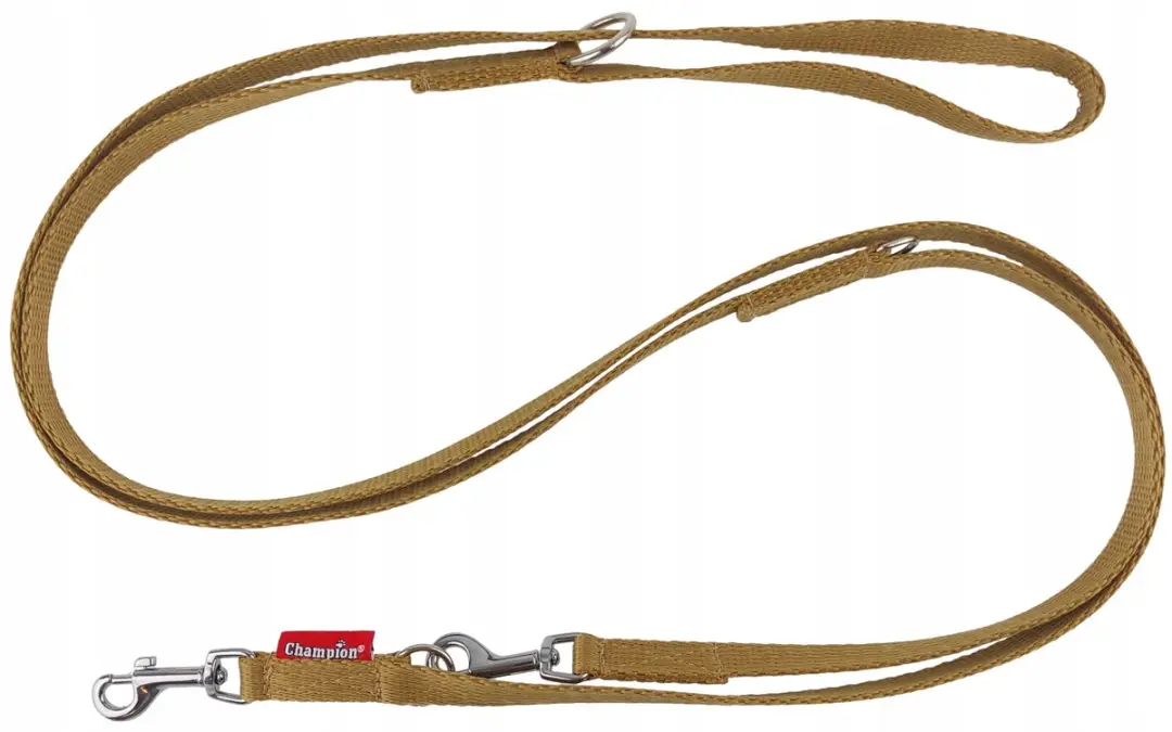 Champion Verstelbaar Hondensnoer 225cm - Goud