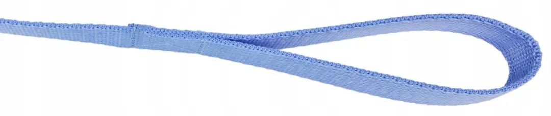 Champion Hondenriem - 120cm - Blauw