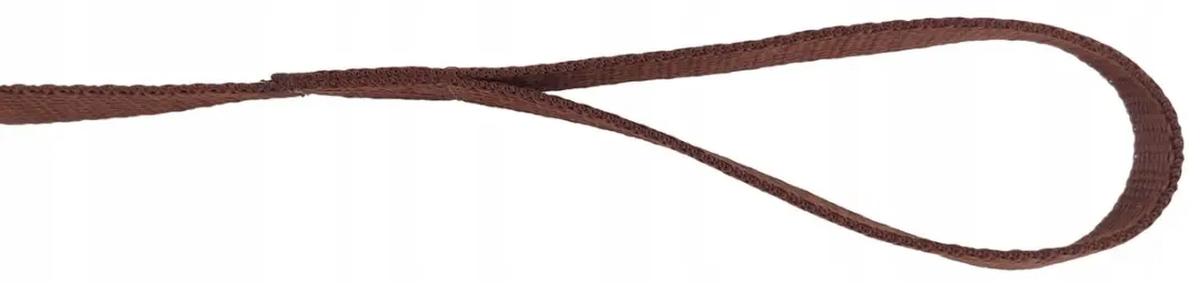 Champion Hondenlijn 120cm - 1.6cm Bruin