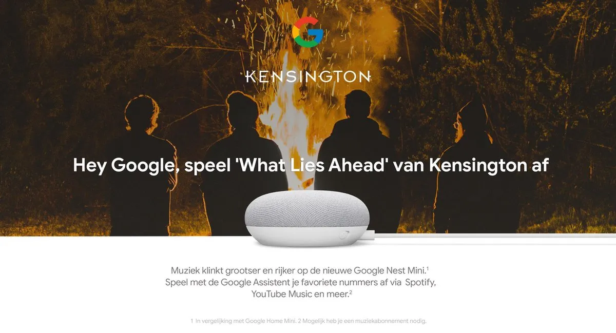 Google Nest Mini - Wifi speaker - Licht grijs