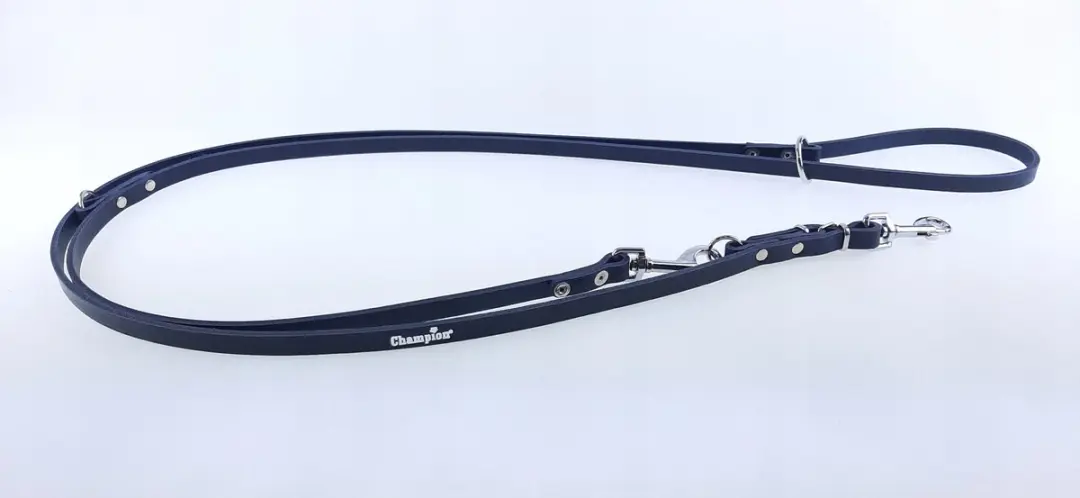 Champion Verstelbaar Leren Hondensnoer 2.4m