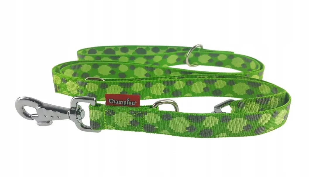 Champion Verstelbare Hondenlijn 2,5cm x 2,4m