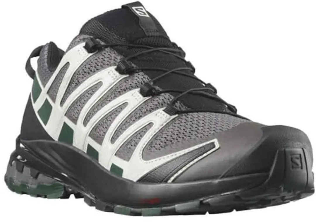 Salomon Xa Pro 3D V8 Goretex Trailrunningschoenen - EU 40 2/3 - Zwart