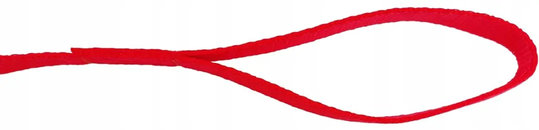 Champion Hondenlijn Rood 120cm